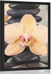 Dovido Poszter sárga orchidea és Zen kövek - 40x60 no frame
