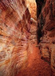 Dovido Öntapadó fotótapéta ösvény a Grand Canyonon keresztül - 196x270