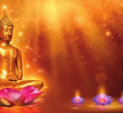 Dovido Tapéta arany Buddha - 294x270