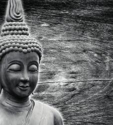 Dovido Fotótapéta fekete fehér Buddha szobor fa háttéren - 245x270