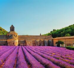 Dovido Öntapadó fotótapéta Provence levendulamezőkkel - 294x270