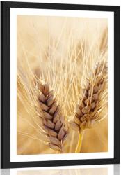 Dovido Poszter paszpartuval búzamező. - 60x90 black