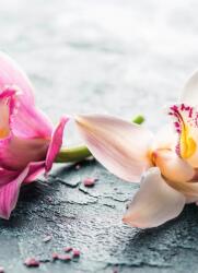 Dovido Fotótapéta két színes orchidea virág - 196x270