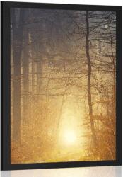 Dovido Poszter fény az erdőben - 30x45 black
