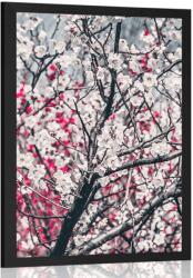 Dovido Poszter barackfa - 40x60 white