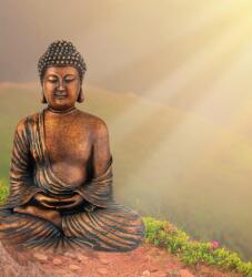 Dovido Öntapadó fotótapéta Buddha szobra meditáló helyzetben - 245x270