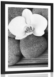 Dovido Poszter paszportuval wellness kövek és orchidea fekete fehérben - 60x90 white