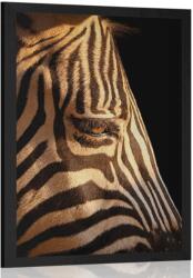 Dovido Poszter egy zebra portréja - 40x60 white