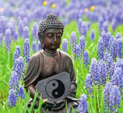 Dovido Fotótapéta jin és jang szimbólum Buddha kezében - 294x270