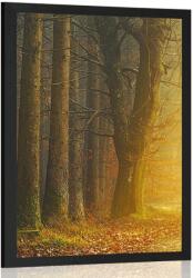 Dovido Poszter út az erdőben - 40x60 white