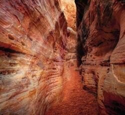Dovido Öntapadó fotótapéta ösvény a Grand Canyonon keresztül - 294x270
