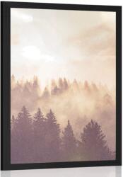 Dovido Poszter köd az erdő felett - 60x90 white