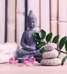 Dovido Öntapadó fotótapéta wellnessz Buddha - 245x270