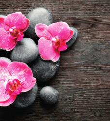Dovido Öntapadó fotótapéta kompozíció orchidea virágokkal - 245x270