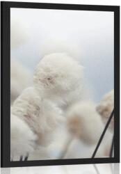 Dovido Poszter sarkvidéki pamut virágok - 40x60 black