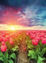 Dovido Öntapadó tapéta napkelte tulipánok felett - 196x270