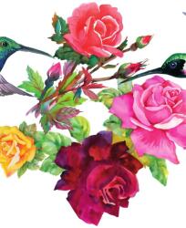 Dovido Öntapadó tapéta kolibri virágokkal - 196x270