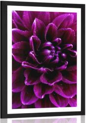 Dovido Poszter paszportuval lila virág - 60x90 black
