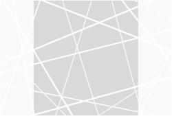 Dovido Fotótapéta - Modern Cobweb - 245x270