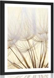 Dovido Poszter paszpotuval pitypang magok - 20x30 black