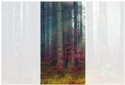 Dovido Öntapadó fotótapéta az erdő titka - 147x270