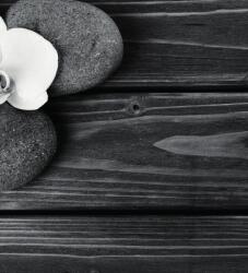 Dovido Öntapadó fotótapéta wellness kövek és orchidea fa háttéren - 245x270