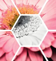 Dovido Tapéta gerbera hatszögben - 245x270