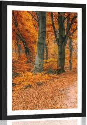 Dovido Poszter paszportuval erdő őszi időben - 40x60 no frame