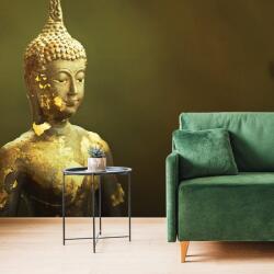 Dovido Tapéta Buddha tükörképe - 245x165