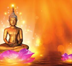 Dovido Öntapadó tapéta Buddha lótusz virágon - 294x270