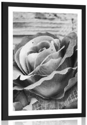 Dovido Poszter paszportuval elegáns vintage rózsa fekete fehérben - 20x30 white