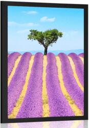 Dovido Poszter levandula mező - 40x60 no frame