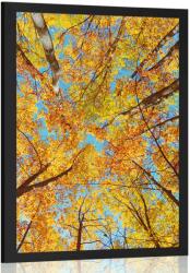 Dovido Poszter őszi fa koronák - 60x90 no frame