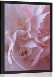 Dovido Poszter szegfű - 40x60 black