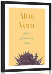 Dovido Poszter paszportuval stílusos felirattal Aloe Vera - 30x45 black