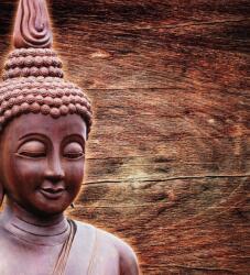 Dovido Fotótapéta Buddha szobor fa háttéren - 245x270