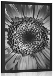 Dovido Poszter fekete fehér gerbera - 20x30 black