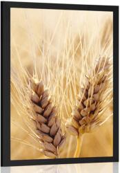 Dovido Poszter búza mező - 60x90 white