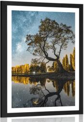 Dovido Poszter fa a csillagos ég alatt - 20x30 silver