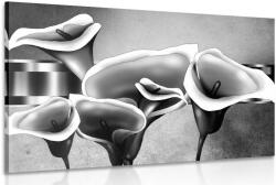 Dovido Kép elegáns kála virágok fekete fehérben - 120x80