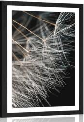 Dovido Poszter paszpartuval pitypang szépsége. - 60x90 white