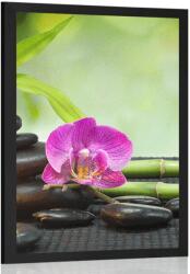 Dovido Poszter Feng Shui csendélet - 30x45 black