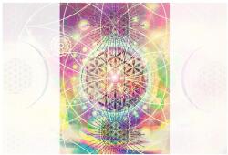 Dovido Tapéta Mandala érdekes kivitelben - 196x270