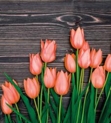 Dovido Fotótapéta narancssárga tulipánok fa háttéren - 245x270