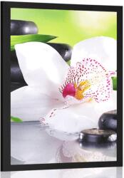 Dovido Poszter japán orchidea - 40x60 silver