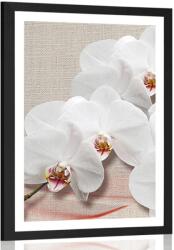 Dovido Poszter paszportuval fehér orchidea vásznon - 20x30 black