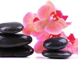 Dovido Fotótapéta SPA kövek és orchidea - 294x270