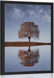 Dovido Poszter csillagos égbolt fa felett - 40x60 no frame