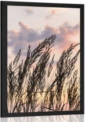 Dovido Poszter fű szállak a naplementében - 20x30 white