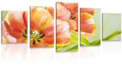 Dovido 5 részes kép piros tulipánok vintage kivitelben - 100x50